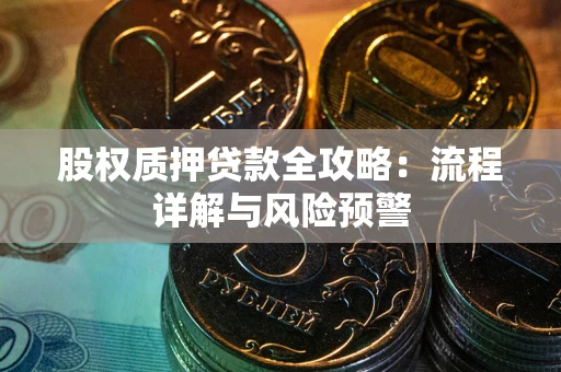 北京股权质押贷款全攻略：流程详解与风险预警