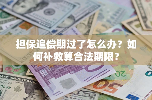 北京担保追偿期过了怎么办？如何补救算合法期限？