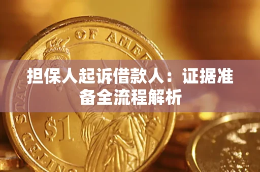 北京担保人起诉借款人：证据准备全流程解析
