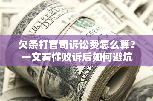 北京欠条打官司诉讼费怎么算？一文看懂败诉后如何避坑