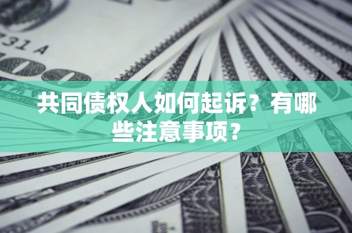 北京共同债权人如何起诉？有哪些注意事项？